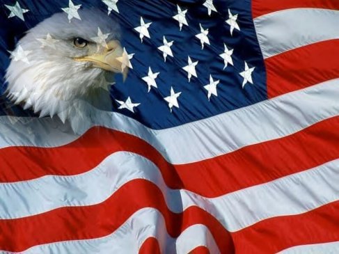 flag 