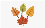 Fall