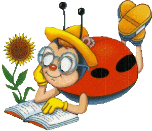 Ladybug Reading 