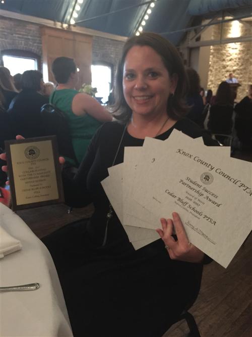 PTA Awards 