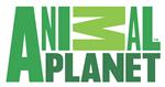 Animal Planet Live Cams 