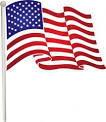 flag 