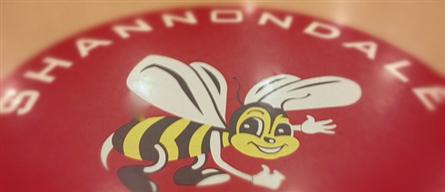 Shannondale Hornet 