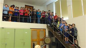 Band on Steps 