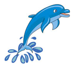  Farragut Primary Dolphin