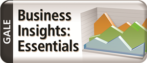 Business Insights Essentials 