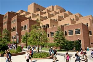 UTK Library 