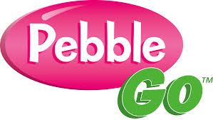Pebble Go 
