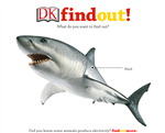 DK Find Out! 