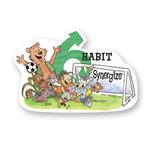 Habit 6 