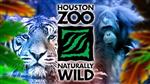 houston zoo 