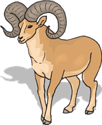 RAM 