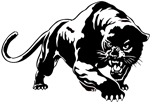 panther 