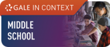 Middle School in Context