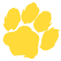  Paw