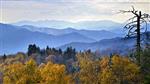 Smoky Mountains Field Trip Smoky Mountains Field Trip