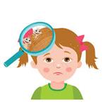 lice 
