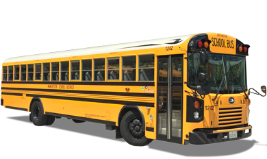 bus