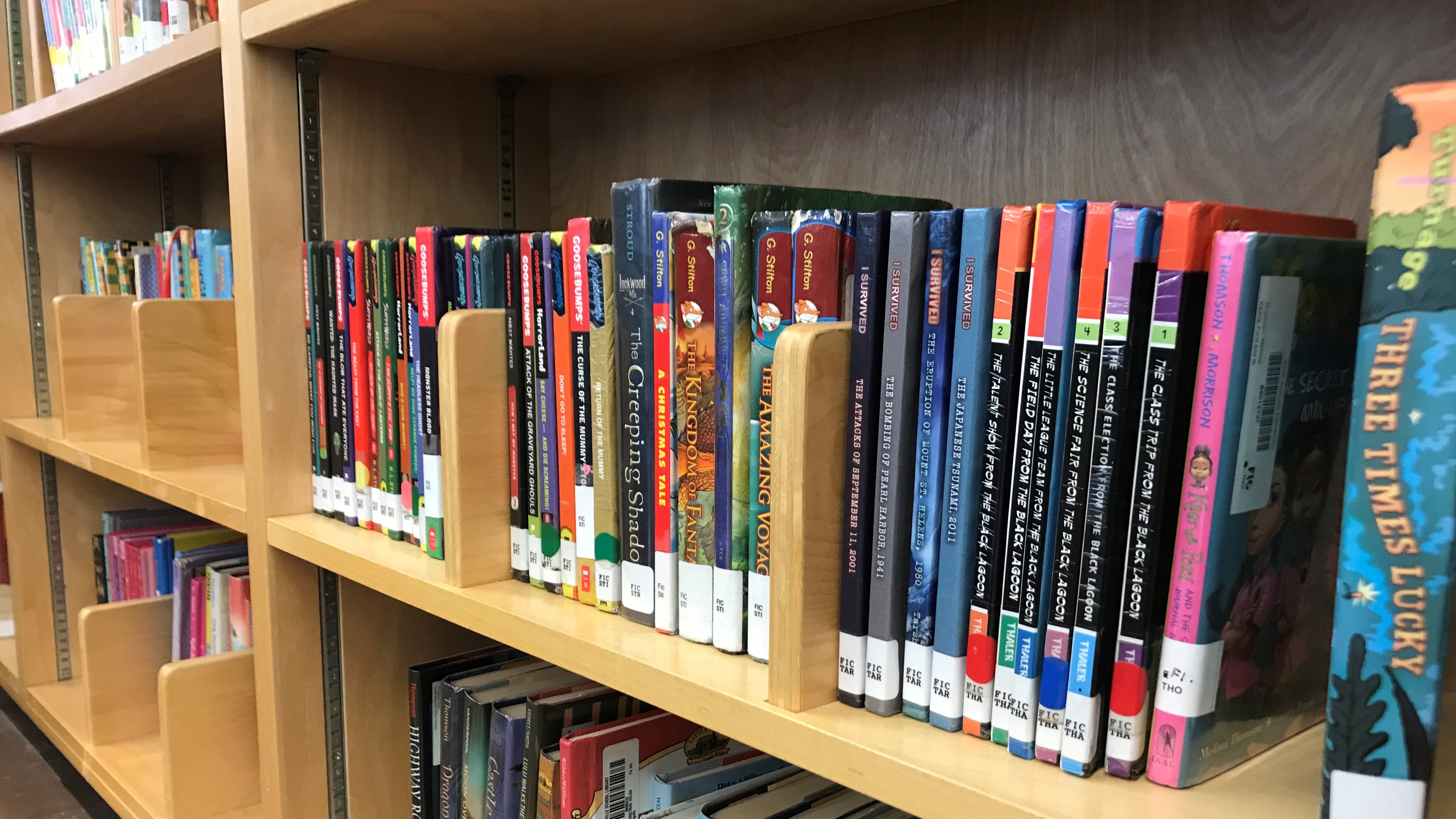 A shelf of books is pictured at the library of South Knoxville Elementary School. 