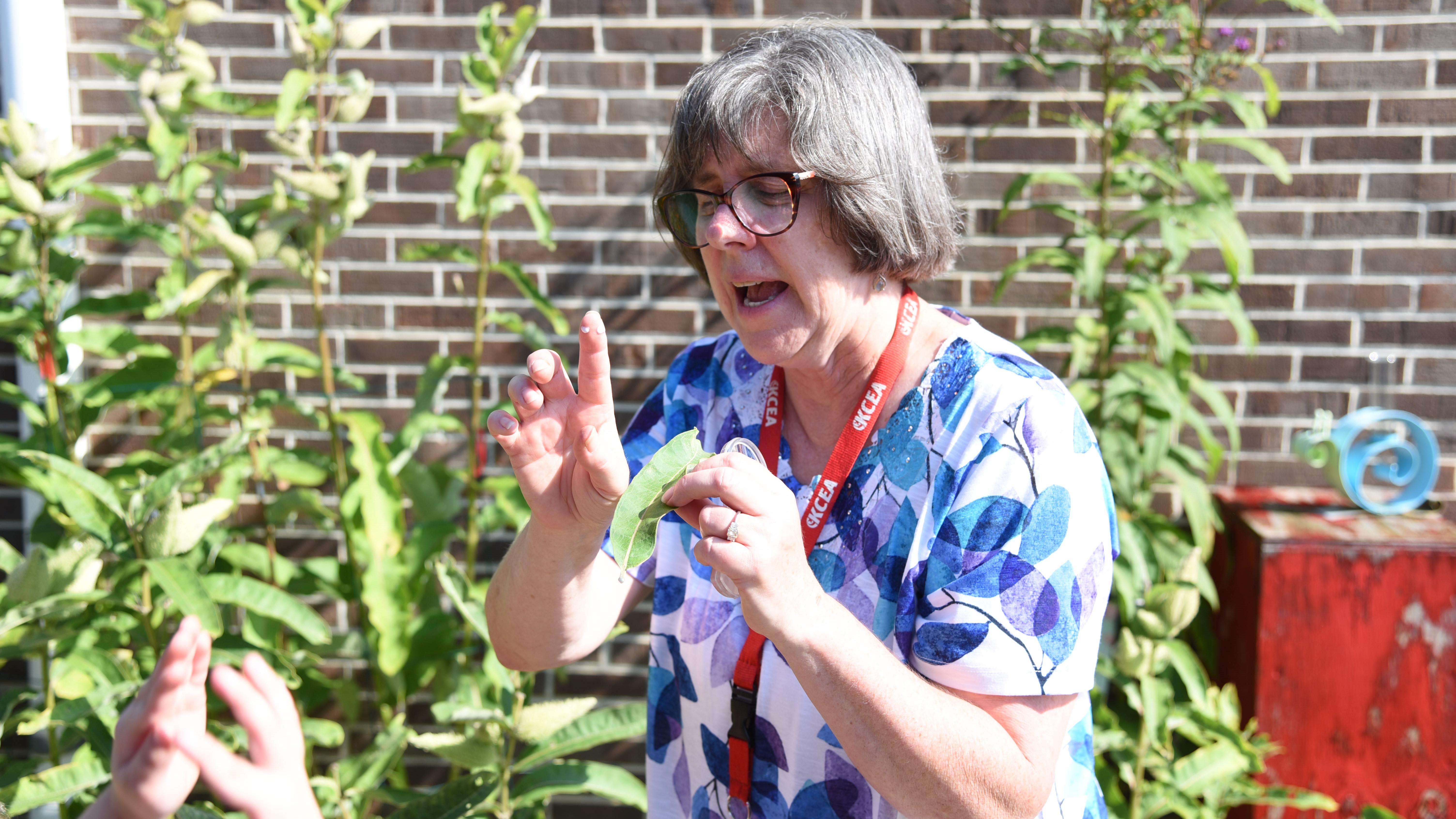 Copper Ridge Elementary teacher Natasha Patchen shows her kindergarten students sap from a milkweed plant. 
