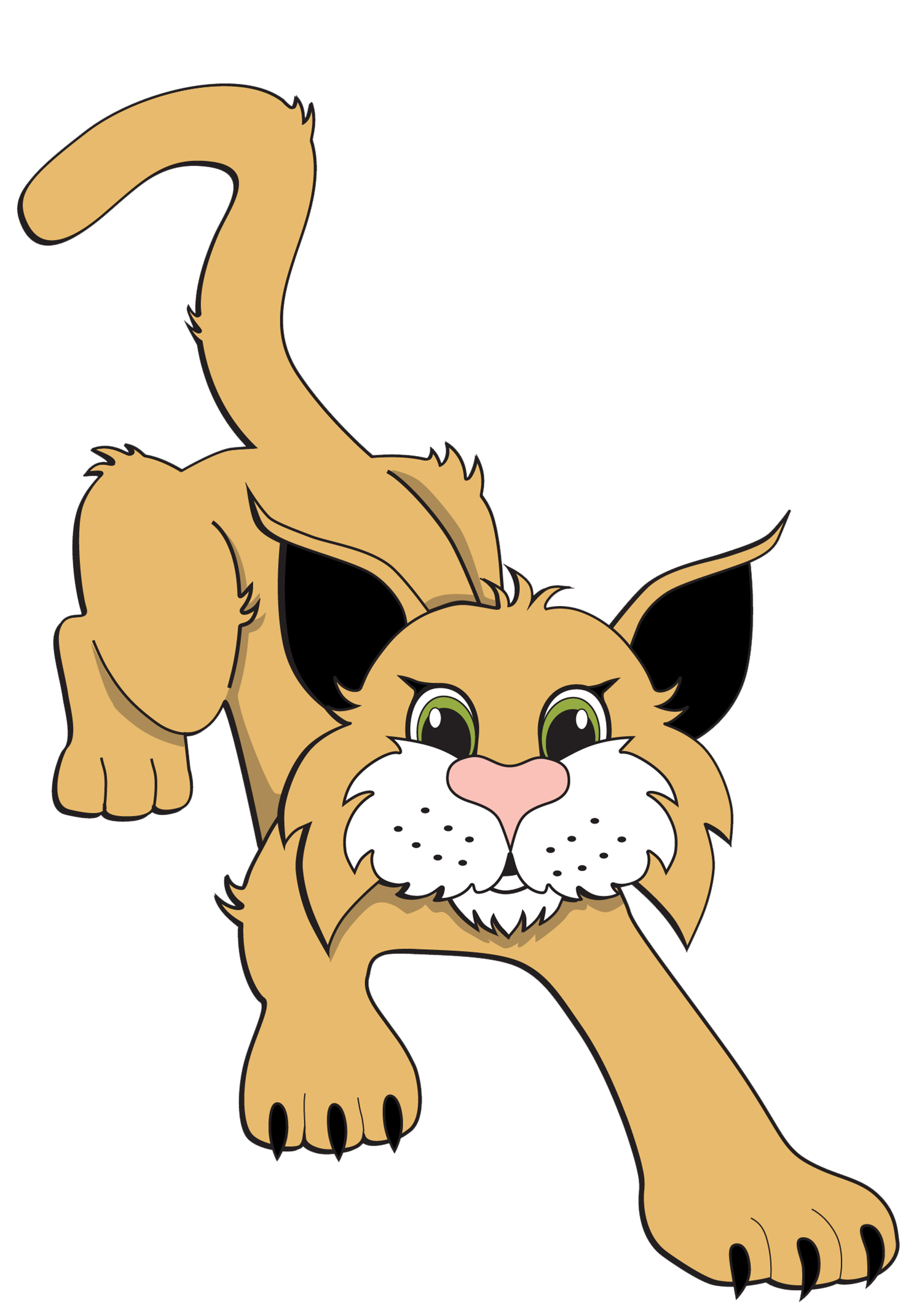 west view wildcats 
