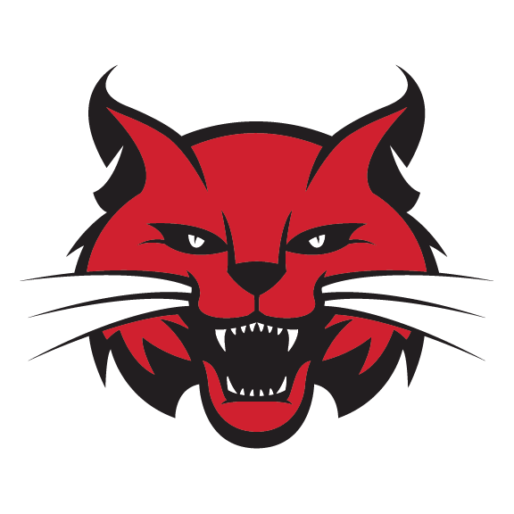  CHS Bobcat