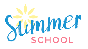  Summer School