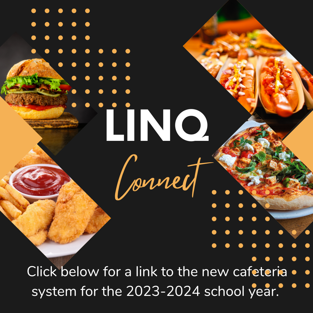  Linq