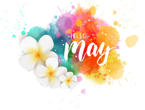 hellomay 